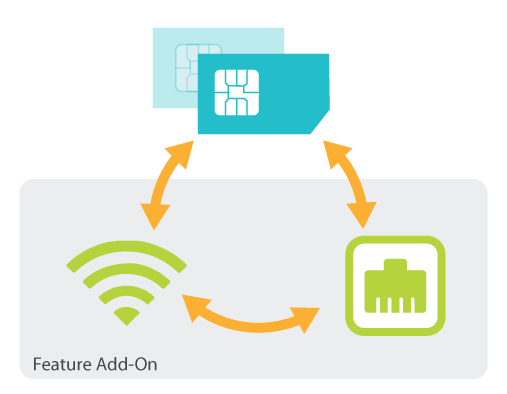 Peplink Feature Add-ons